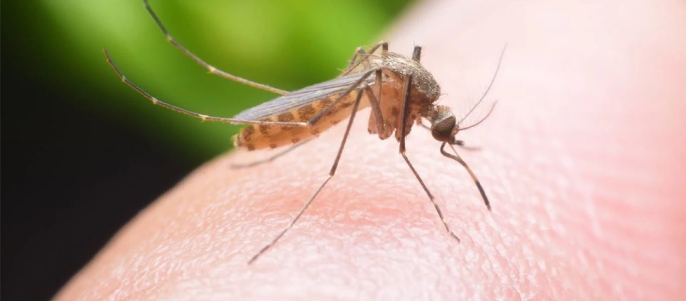 Πως θα προστατευτούμε από τον ιό του δυτικού Νείλου;